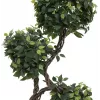 EUROPALMS Ficus Multi Spiral Trunk Kunstpflanze, 160cm 82501563