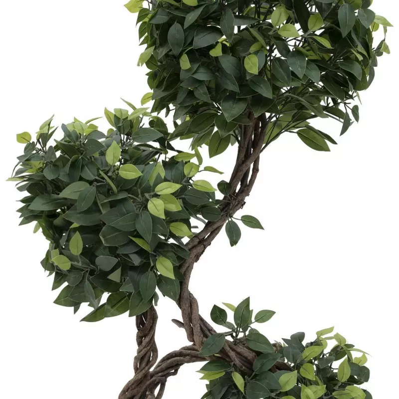 EUROPALMS Ficus Multi Spiral Trunk Kunstpflanze, 160cm 82501563