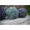 EUROPALMS Künstlicher Grasball, Blau, 22cm 82606975