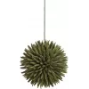 EUROPALMS Sukkulenten-Kugel EVA Kunstpflanze, Grün, 16 cm 82531074