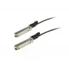 ALLNET 25G SFP28 Direct Attach Kupferkabel, 3m (ALL4779-3)