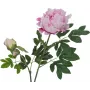EUROPALMS Premium Pfingstrosenzweig Kunstpflanze, Rosa, 100cm 82530220