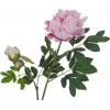 EUROPALMS Premium Pfingstrosenzweig Kunstpflanze, Rosa, 100cm 82530220