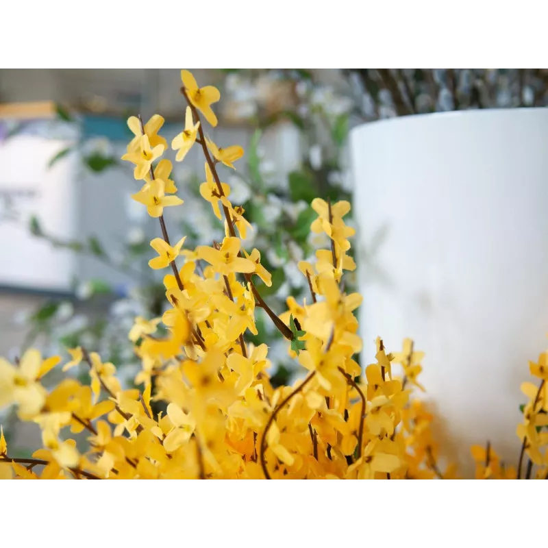 EUROPALMS Künstlicher Forsythienstrauch, 60cm 82505629
