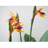EUROPALMS Strelitzia Kunstpflanze, 90 cm 82540502