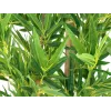 EUROPALMS Bambus deluxe, Kunstpflanze, 150cm 82509166