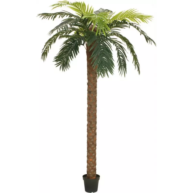 EUROPALMS Phoenix Palm Deluxe Künstliche Pflanze, 250cm 82509724