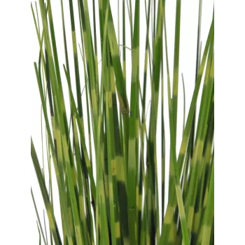 EUROPALMS Zebra Grass, Künstlich, 90cm 82505863