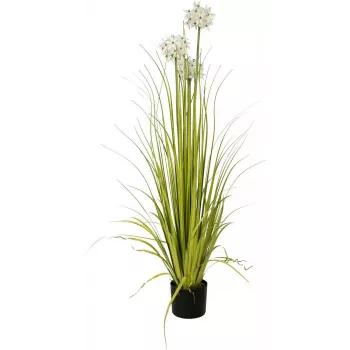 EUROPALMS Alliumgras Kunstpflanze, Weiß, 120 cm 82600169