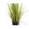 EUROPALMS Immergrüner Strauch mit Gras, Kunstpflanze, 182 cm 82600185