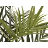 EUROPALMS Kentia-Palme Kunstpflanze 300cm 82511369