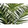 EUROPALMS Kentia-Palme Kunstpflanze 240cm 82511368