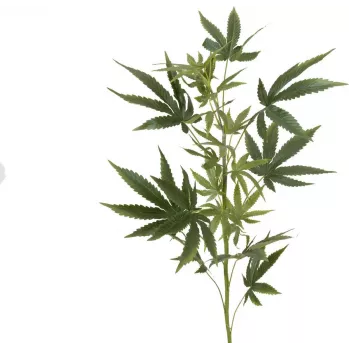 EUROPALMS Künstlicher Hanfzweig, 90cm, Grün 82506699