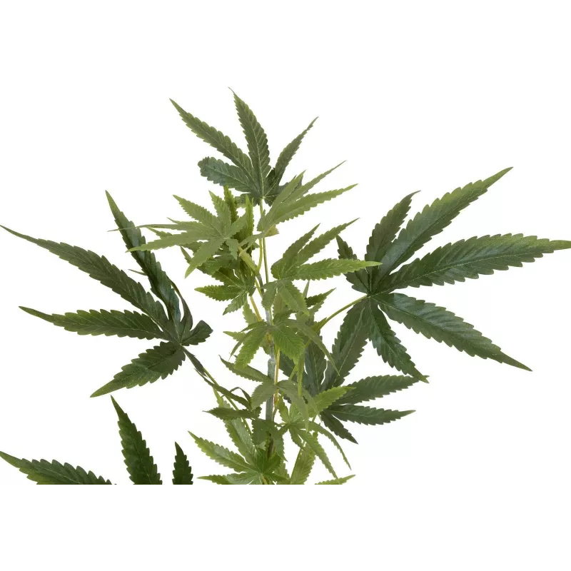 EUROPALMS Künstlicher Hanfzweig, 90cm, Grün 82506699