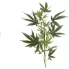 EUROPALMS Künstlicher Hanfzweig, 90cm, Grün 82506699