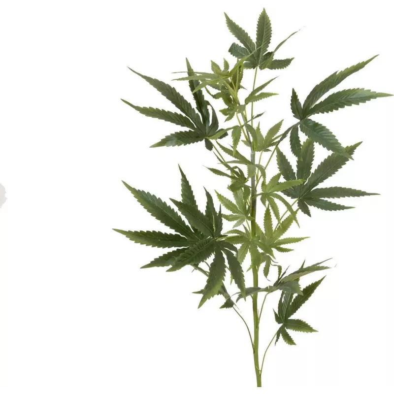 EUROPALMS Künstlicher Hanfzweig, 90cm, Grün 82506699