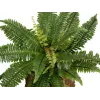 EUROPALMS Boston Farn Kunstpflanze, 53cm, Grün 82519934