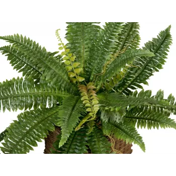 EUROPALMS Boston Farn Kunstpflanze, 53cm, Grün 82519934