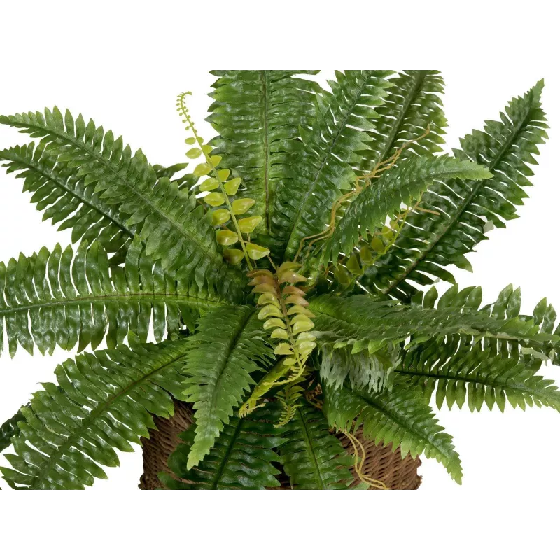 EUROPALMS Boston Farn Kunstpflanze, 53cm, Grün 82519934
