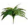 EUROPALMS Boston Farn Kunstpflanze, 53cm, Grün 82519934