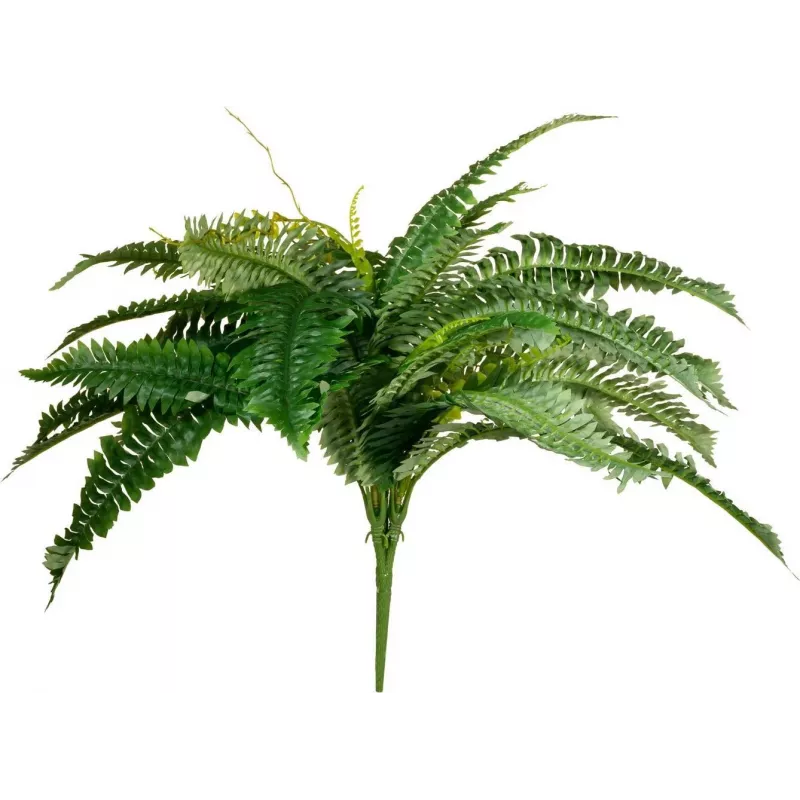 EUROPALMS Boston Farn Kunstpflanze, 53cm, Grün 82519934