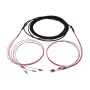 SYNERGY21 S217051V2 20m LC/LC OM4 50/125µm 4-Faser Trunk-Kabel, halogenfrei, Ring