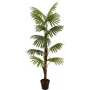 EUROPALMS Fächerpalme Kunstpflanze, 155cm 82509303