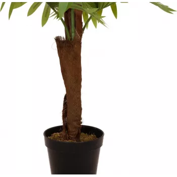 EUROPALMS Fächerpalme Kunstpflanze, 155cm 82509303