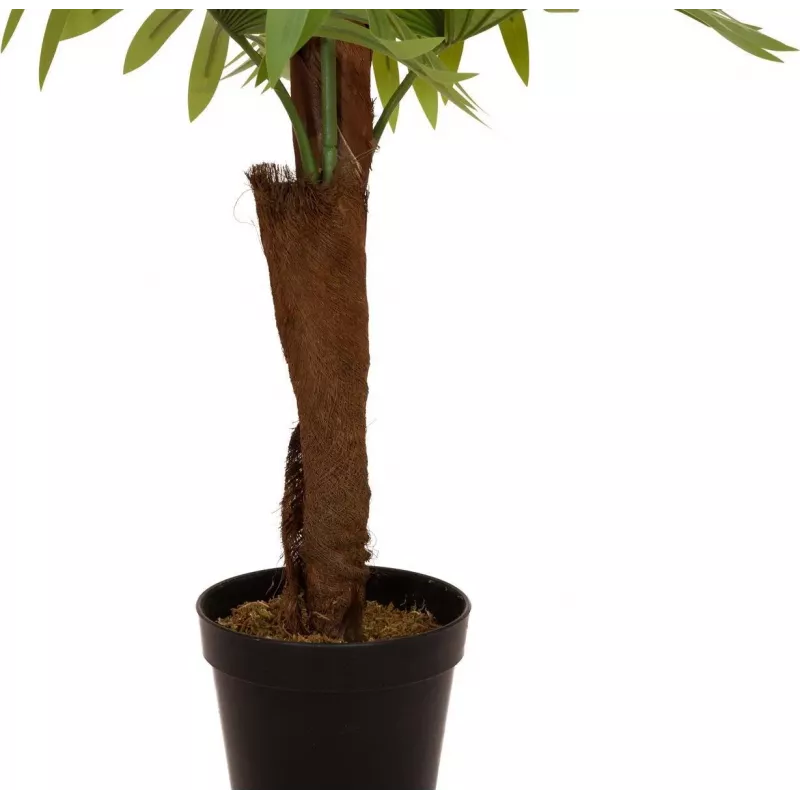 EUROPALMS Fächerpalme Kunstpflanze, 155cm 82509303
