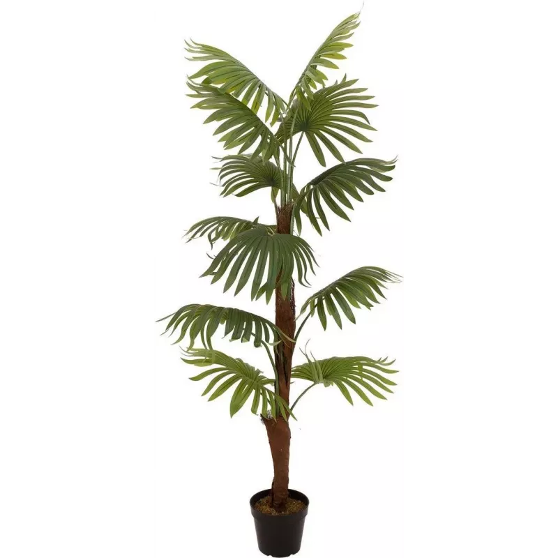 EUROPALMS Fächerpalme Kunstpflanze, 155cm 82509303