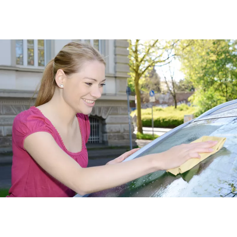 IWH PVA Saugfähiges Reinigungstuch mit Aufbewahrungsbox 430 x 320 mm 4231