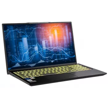 Captiva Notebook Power Starter I99-019GE i5-1335U (17,3 inch, 64GB, 1TB SSD, Intel Iris Xe Graphics, Win 11 Pro)