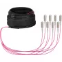 EFB Elektronik Trunk-Kabel U-DQ ZN BH OM4 8G 1x8 SC-SC 30m Dca LSZH O8321S30OM4