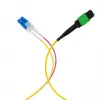 EFB Elektronik MPO-PLUS/APC(F)-LC OS2 8-Faser Typ B Trunk-Kabel, LSZH, Gelb, 1m MPOF08LCOS2-1