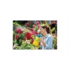 GLORIA Hobby 100 Handdrucksprüher 1,3 L Blau Gelb Kunststoff Messing/Kunststoff 3 bar 000015.0000