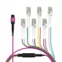 EFB Elektronik MPO-PLUS (F) auf LC Trunk-Kabel, OM4, 12 Fasern, Typ B, LSZH, Erika Violet, 1m MPOF12LCOM4-1