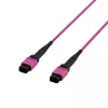 EFB Elektronik MPO-PLUS OM4 8-Faser Typ B LSZH Patchkabel, Erika-Violett, 3m MPOF8MPOFOM4-3