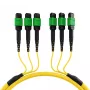 EFB MTPF48MTPFOS2-25-A OS2 Singlemode 48-Faser MTP APC Patchkabel, 25 m, Gelb