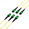EFB MTPF48MTPFOS2-25-A OS2 Singlemode 48-Faser MTP APC Patchkabel, 25 m, Gelb