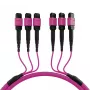 EFB Elektronik MTP-F/MTP-F 48-Faser Matrix Patchkabel OM4, LSZH Erika Violett, Code A, 25m MTPF48MTPFOM4-25-A