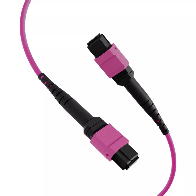 EFB Elektronik MTP-F/MTP-F 48-Faser Matrix Patchkabel OM4, LSZH Erika Violett, Code A, 25m MTPF48MTPFOM4-25-A