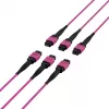 EFB Elektronik MTP-F/MTP-F 48-Faser Matrix Patchkabel OM4, LSZH Erika Violett, Code A, 25m MTPF48MTPFOM4-25-A