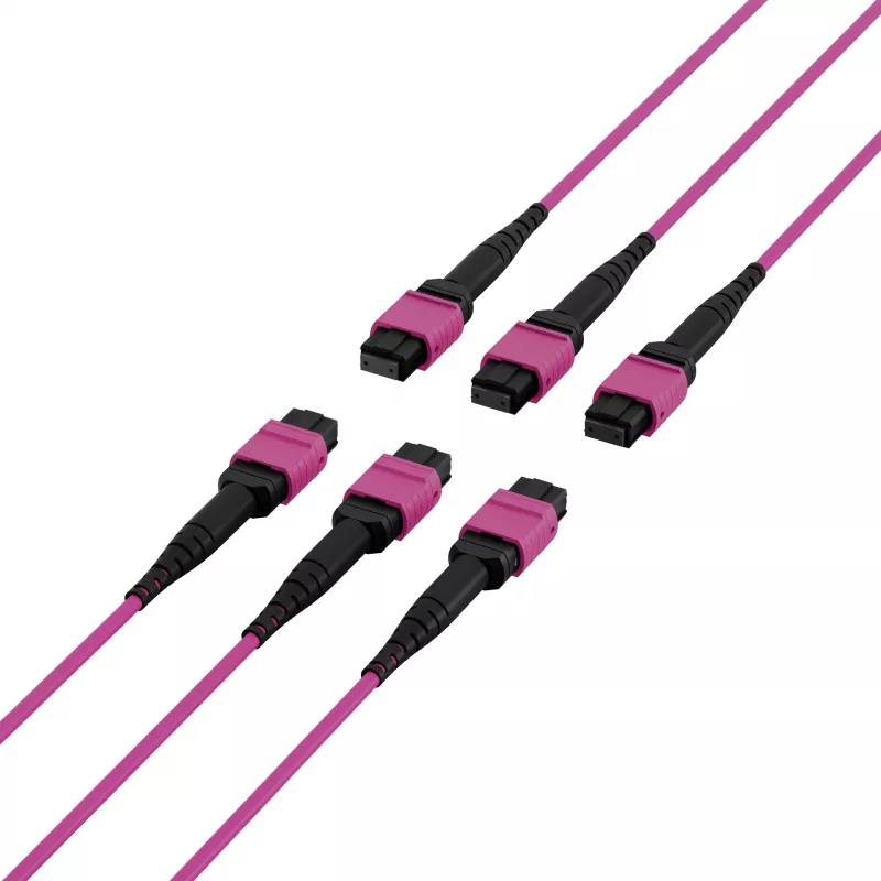 EFB Elektronik MTP-F/MTP-F 48-Faser Matrix Patchkabel OM4, LSZH Erika Violett, Code A, 25m MTPF48MTPFOM4-25-A
