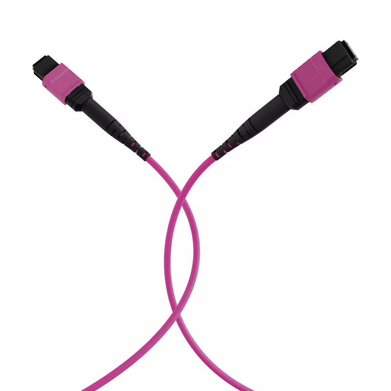 EFB Elektronik MTP-F/MTP-F 48-Faser Matrix Patchkabel OM4, LSZH Erika Violett, Code A, 25m MTPF48MTPFOM4-25-A