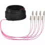 EFB Elektronik U-DQ ZN BH OM4 8G 1x8 LC-LC 10m Dca LSZH Trunk-Kabel O8322S10OM4