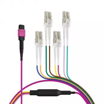 EFB Elektronik MPO-PLUS(F)-LC Trunk-Kabel OM4 8 Fasern Typ B LSZH Heidekrautviolett 2m MPOF08LCOM4-2
