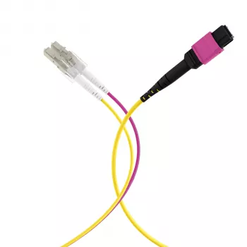 EFB Elektronik MPOF12LCOM4-5 MPO-PLUS (F) auf LC Duplex Trunk-Kabel, OM4, 12 Fasern, Typ B, LSZH, Erika Violett, 5 m