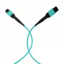 EFB Elektronik MPO-PLUS Female zu MPO-PLUS Female Patchkabel, OM3 Multimode, 12 Fasern, Typ B, LSZH Aqua, 5m MPOF12MPOFOM3-5