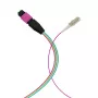 EFB Elektronik MPO-PLUS (M)-LC Fanout-Kabel OM4 12 Fasern Typ B LSZH Erika-Violett 1m MPOM12LCOM4-1