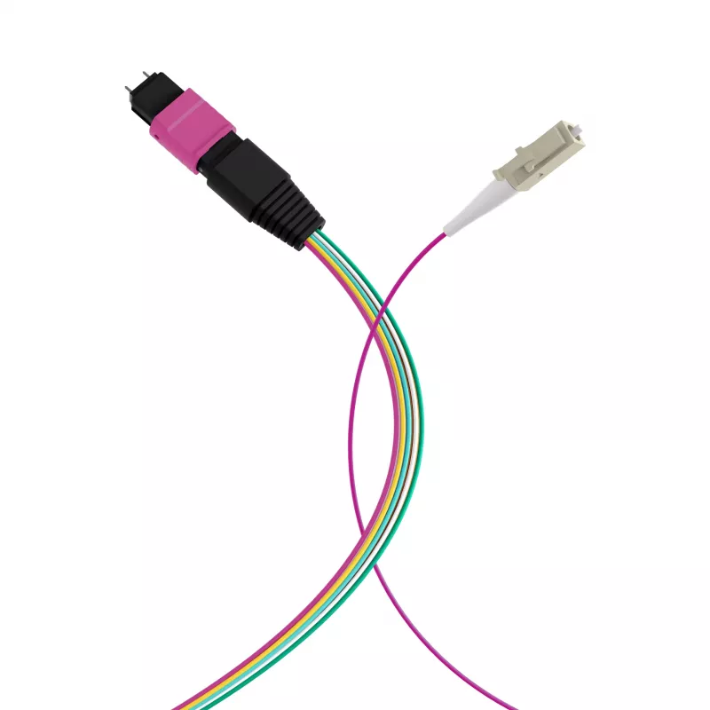EFB Elektronik MPO-PLUS (M)-LC Fanout-Kabel OM4 12 Fasern Typ B LSZH Erika-Violett 1m MPOM12LCOM4-1